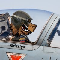 grizzly7