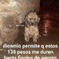 Tiago02